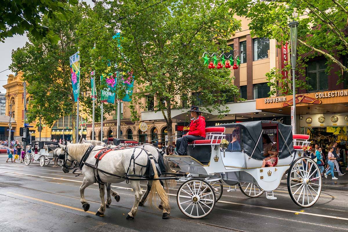 Article image for Horse-drawn carriage operator slams ‘very, very political’ proposed CBD ban