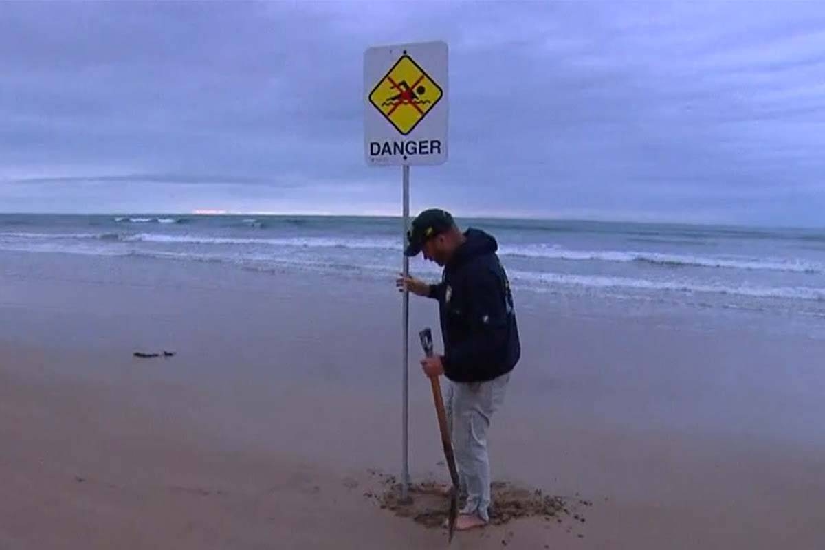 Article image for Teens taken to hospital after Bellarine Peninsula shark attack