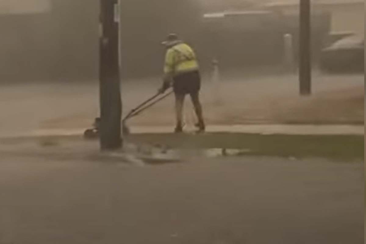 Mowing hotsell after rain