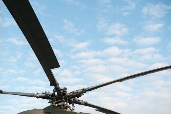 Article image for Helicopter brought in to search for one of Australia’s most expensive bulls