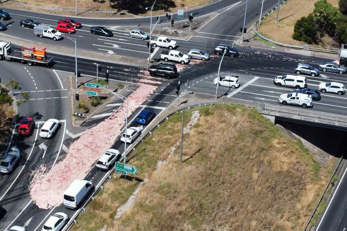 Article image for Truck loses hundreds of chicken carcasses on Keilor Park Drive