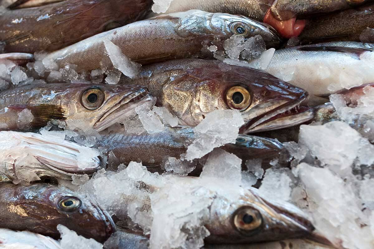 Article image for Why Victorians can soon expect a shortage of ‘fresh, locally caught’ fish