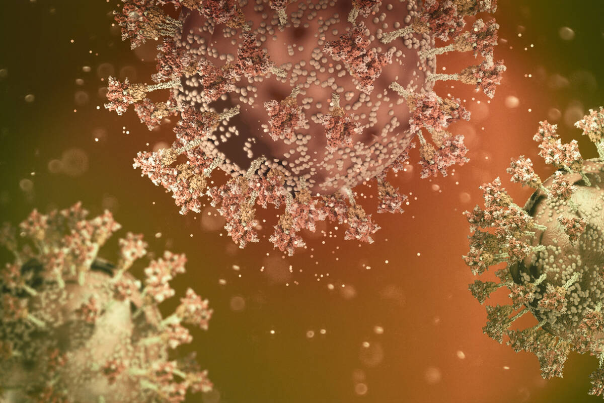 Article image for Epidemiologist weighs-in on Omicron subvariant