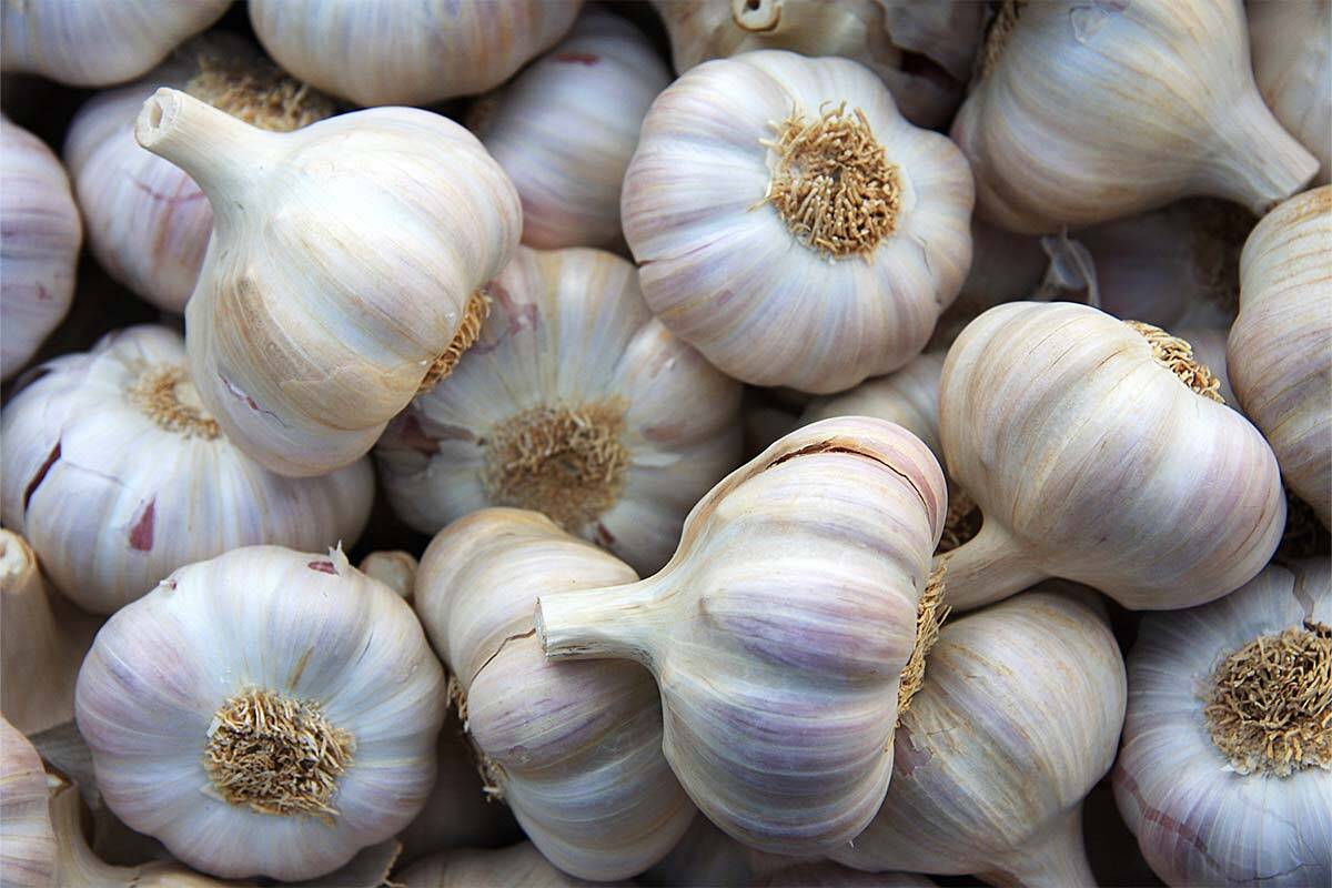 Article image for Why some top chefs are ditching garlic in Italian cooking