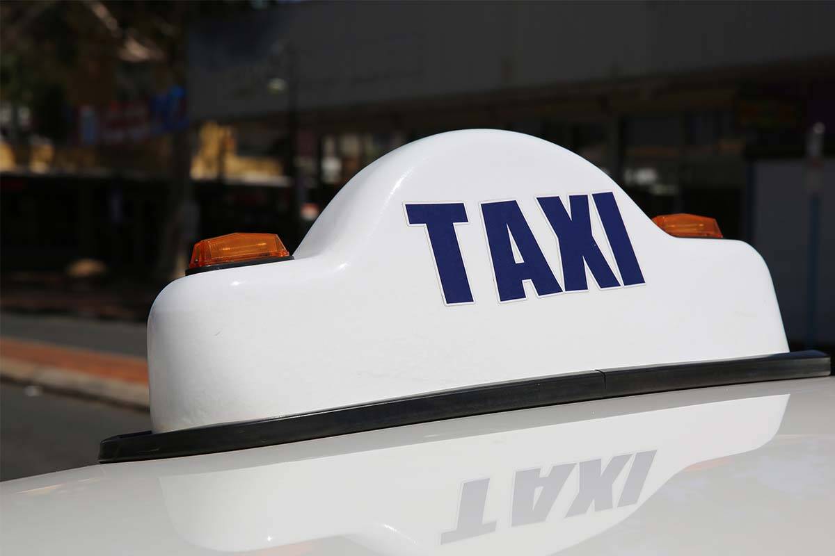 Article image for The eyewatering sum spent on a taxi for bees