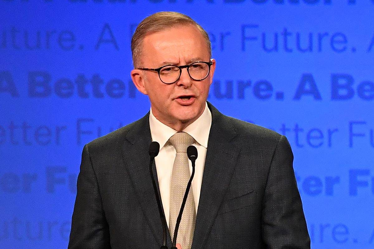 Article image for Labor on track to form majority government