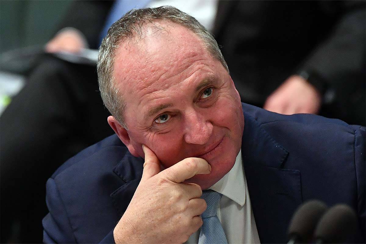 Article image for Barnaby Joyce thinks Australians are ‘going to be surprised’ tonight