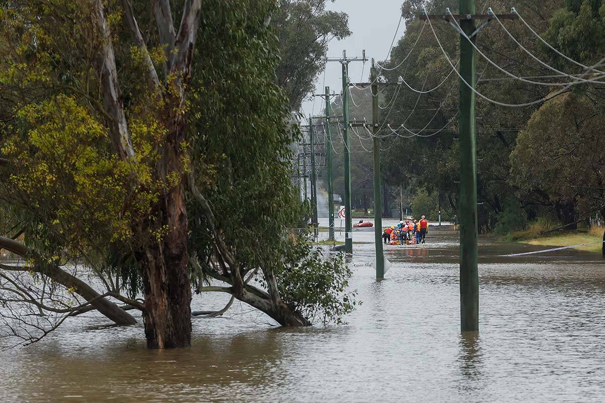 Article image for How the latest NSW floods will impact vegetable supply and prices
