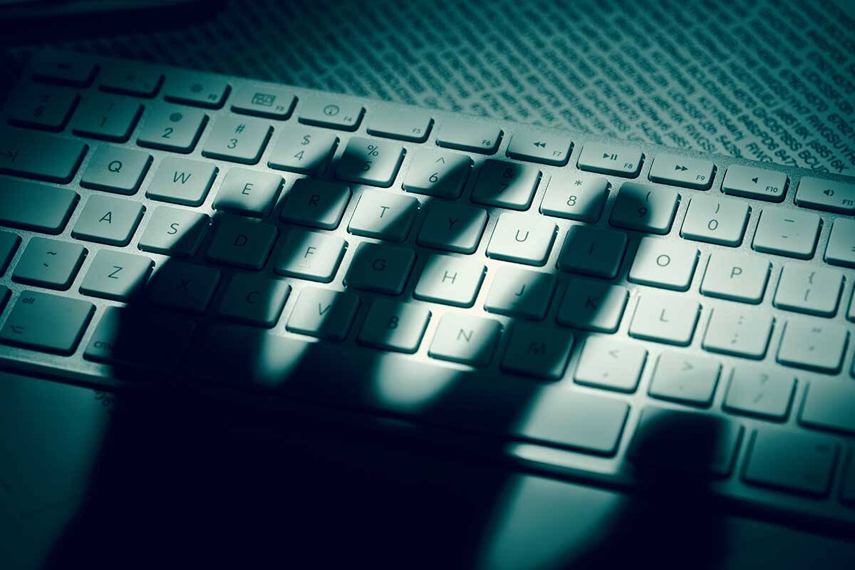 Article image for The staggering percentage of Australians who’ve had their data stolen