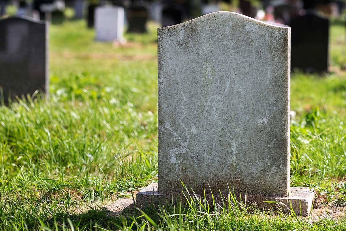 Article image for RSPCA defends decision to dig up graves of some 800 pets for development
