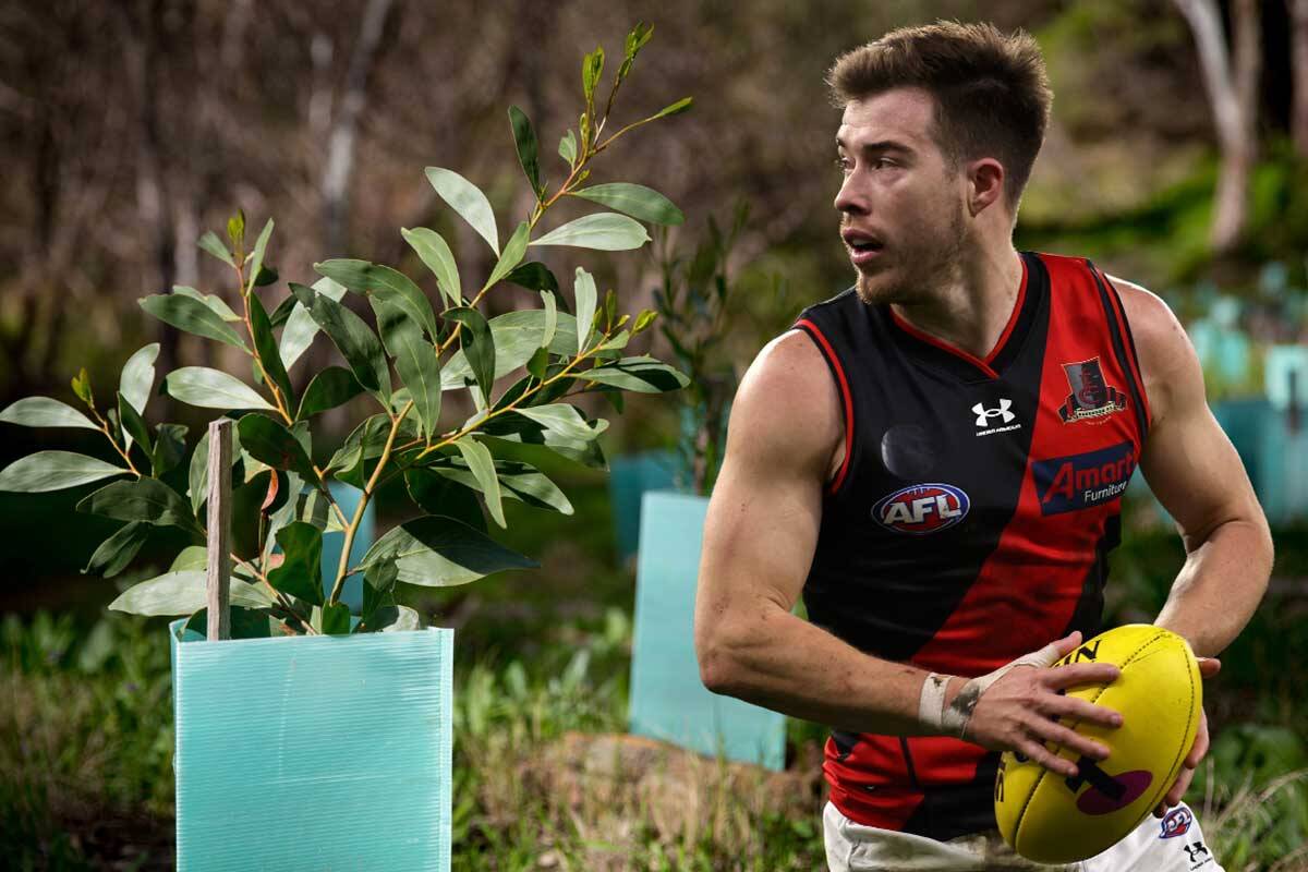 Article image for How high-scoring footy over the next three weeks will help the environment