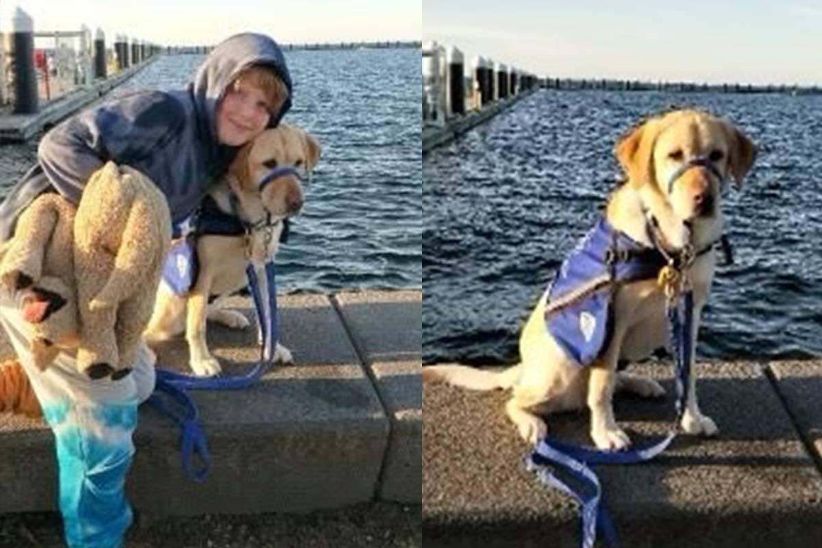 Article image for Geelong restaurant refuses entry to autistic nine-year-old’s assistance dog