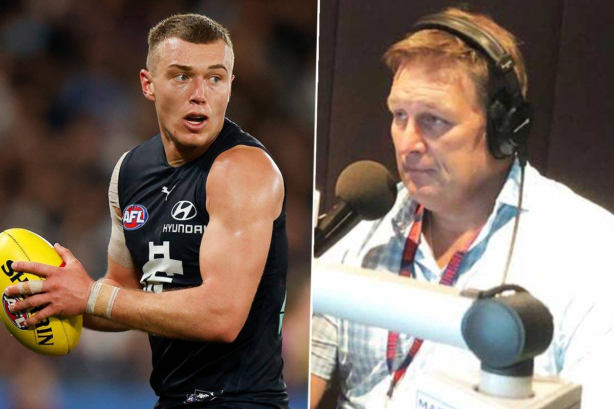 Article image for Cripps ban overturned: David Schwarz says the AFL was ‘duty bound’ to appeal