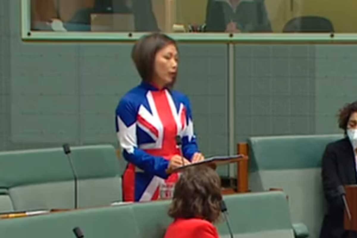 Article image for Australian politician splits opinion with dress in parliament