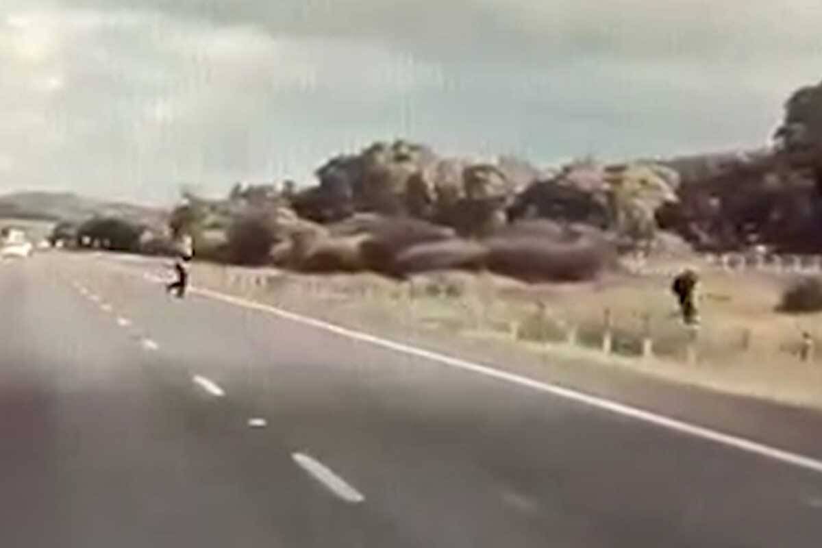 Article image for Dashcam captures Hume Freeway drama