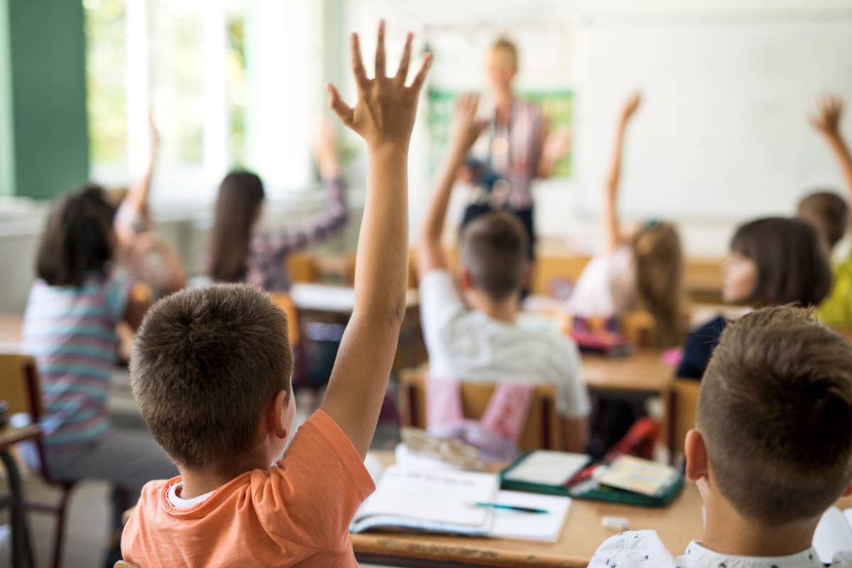 Article image for The ways the education system can be improved