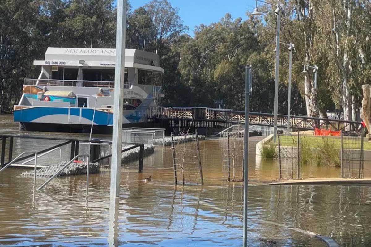 Why there is concern about the Murray River bursting its banks at Echuca