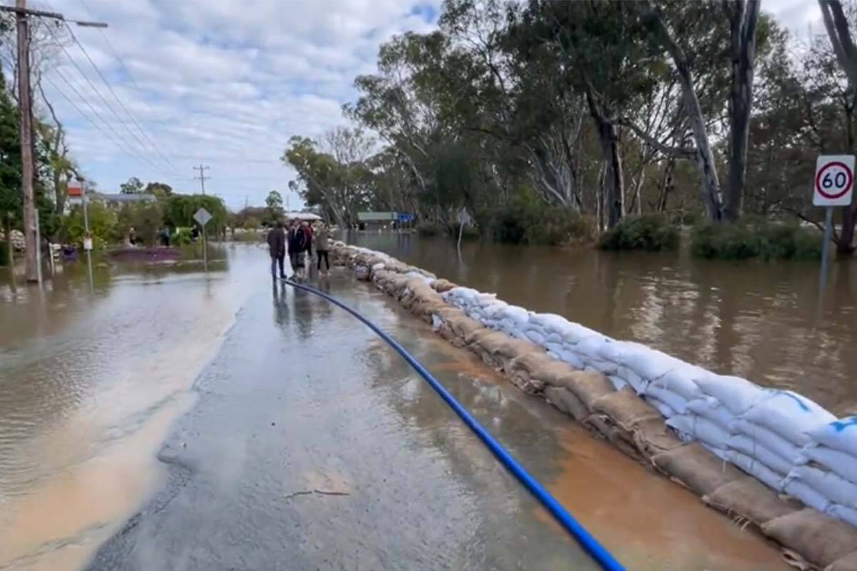 Article image for Victorian floods: ADF on the ground to double in coming days