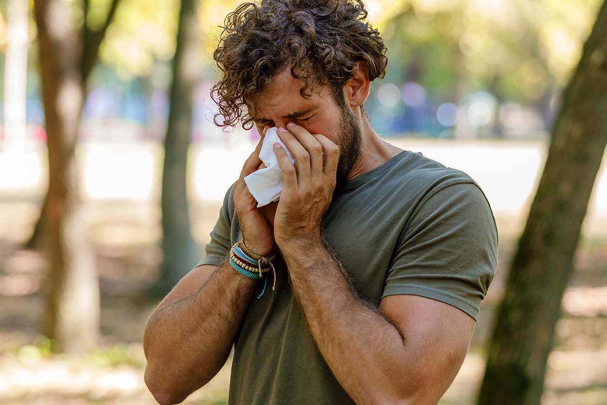 Article image for Why Victorians can expect worse than usual hayfever this season