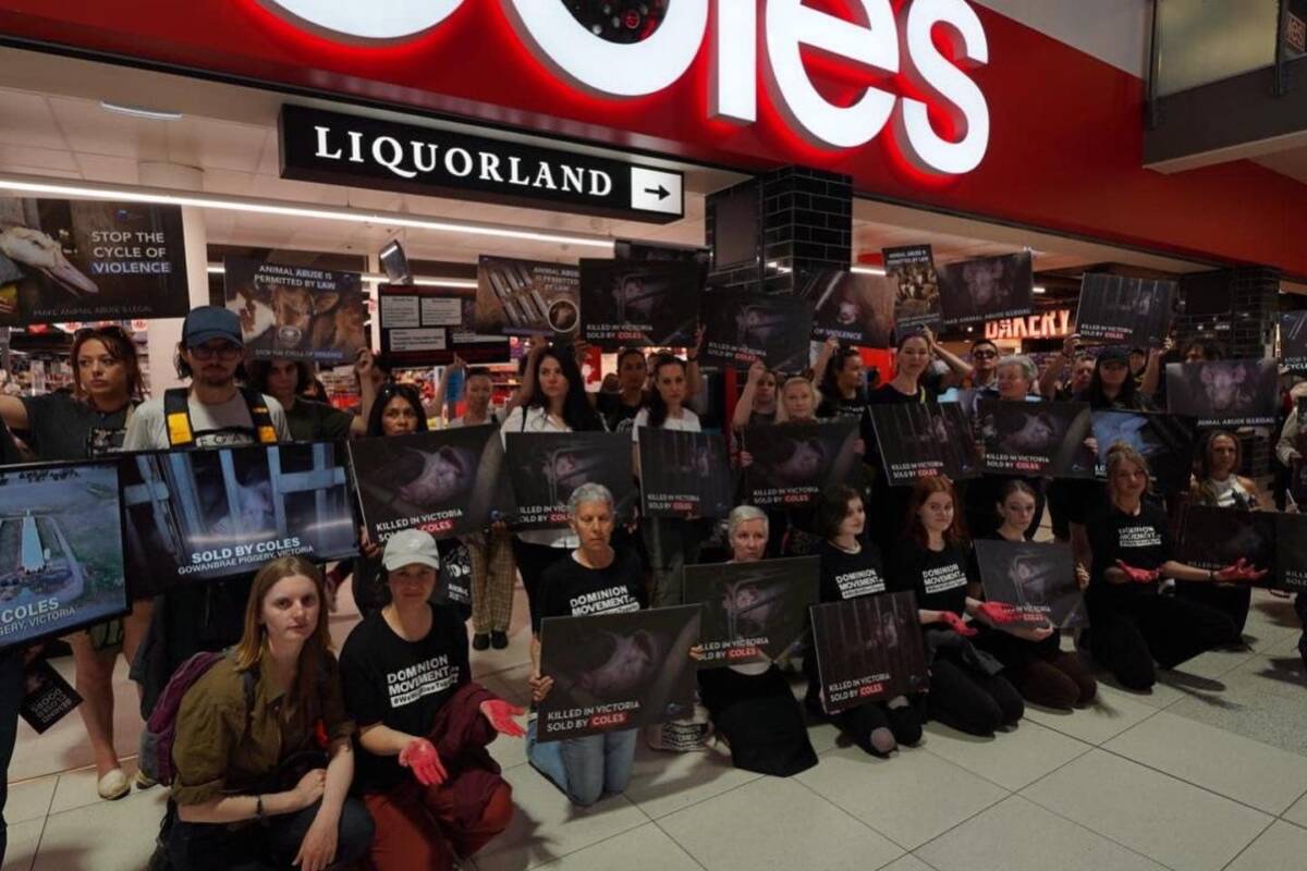 Article image for Animal Justice Party candidate defends Coles protest in heated debate