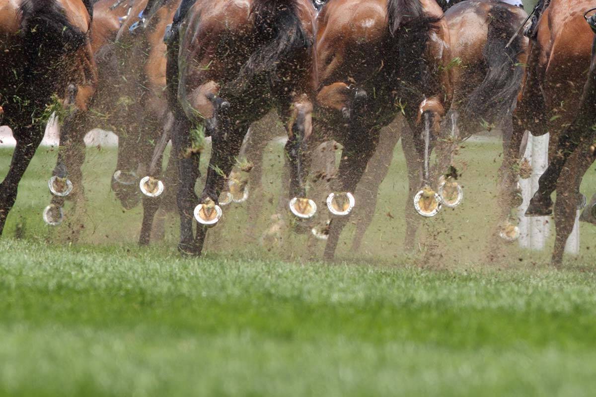 Article image for Calls for Australia to follow Singapore’s historic decision on horse racing