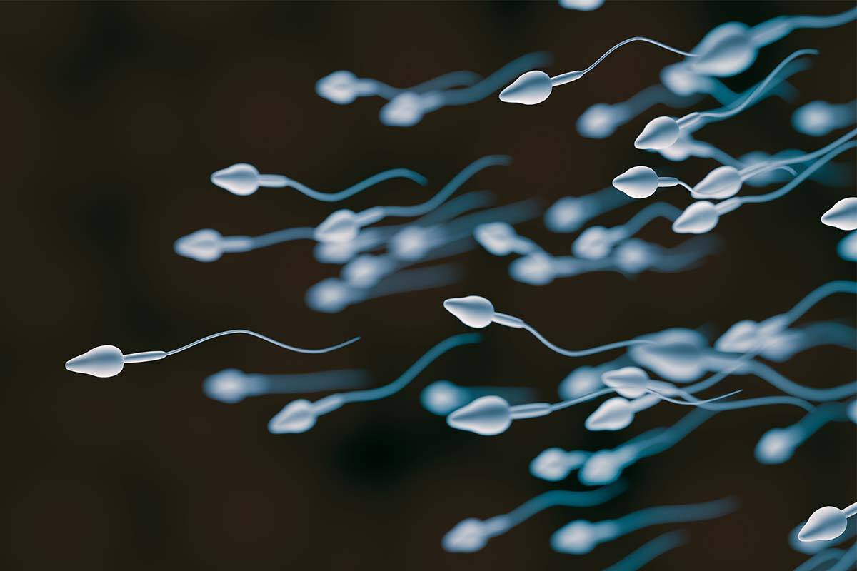 Article image for World-first super sperm syringe offers new IVF hope