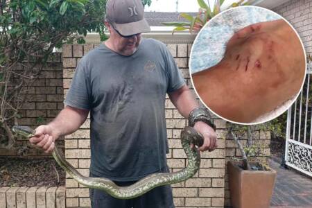 Five-year-old bitten and dragged into pool by huge python