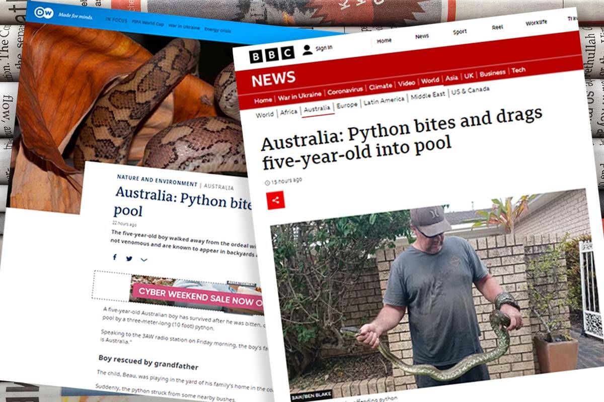 Article image for Rumour File story makes headlines across the globe