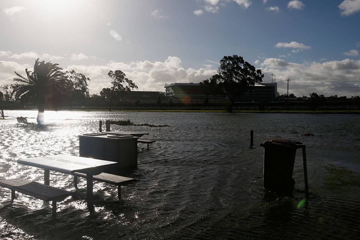 Article image for Community rally organised to protest Flemington flood wall