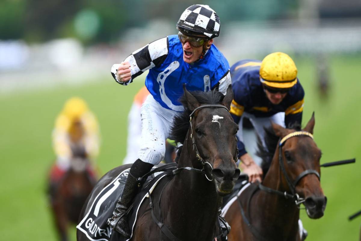 Article image for Gold Trip wins the Melbourne Cup