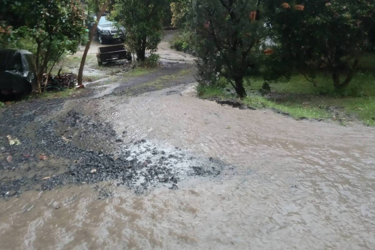 Article image for Wild weather lashes Melbourne