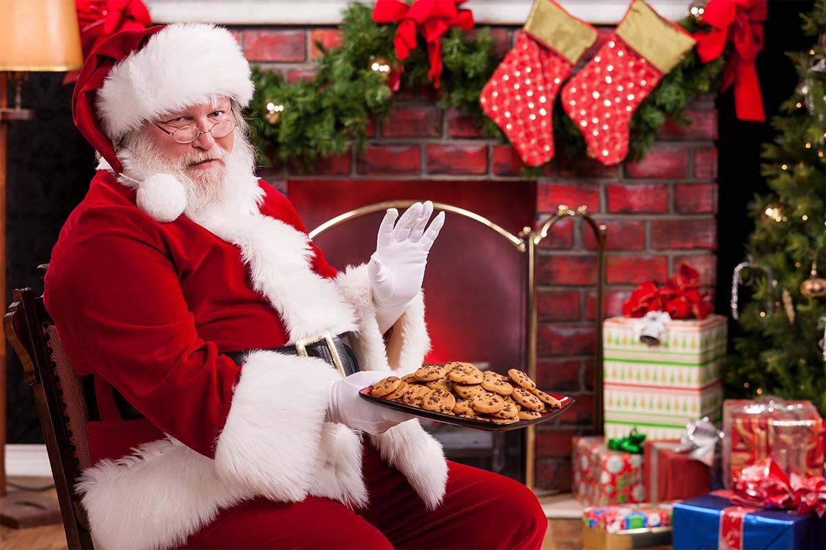 Article image for Health expert pushes for fat Santas to be banned 