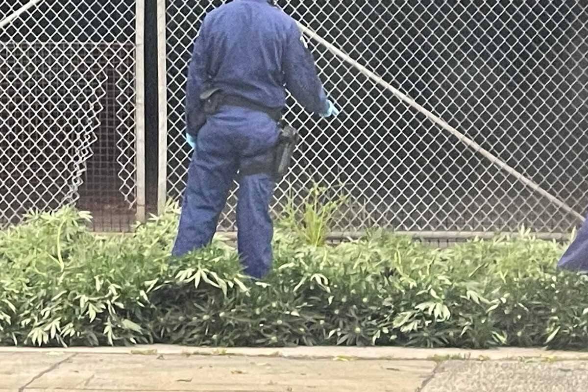 Article image for 3AW Drive is alerted to a bayside drug bust