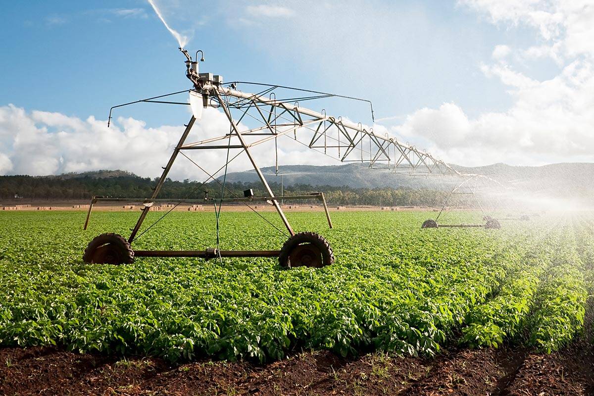 Article image for Food security concerns continue amid ‘volatile’ conditions