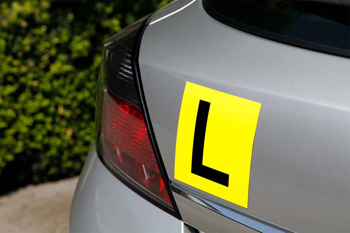 Article image for The changes needed to improve the learner driver system