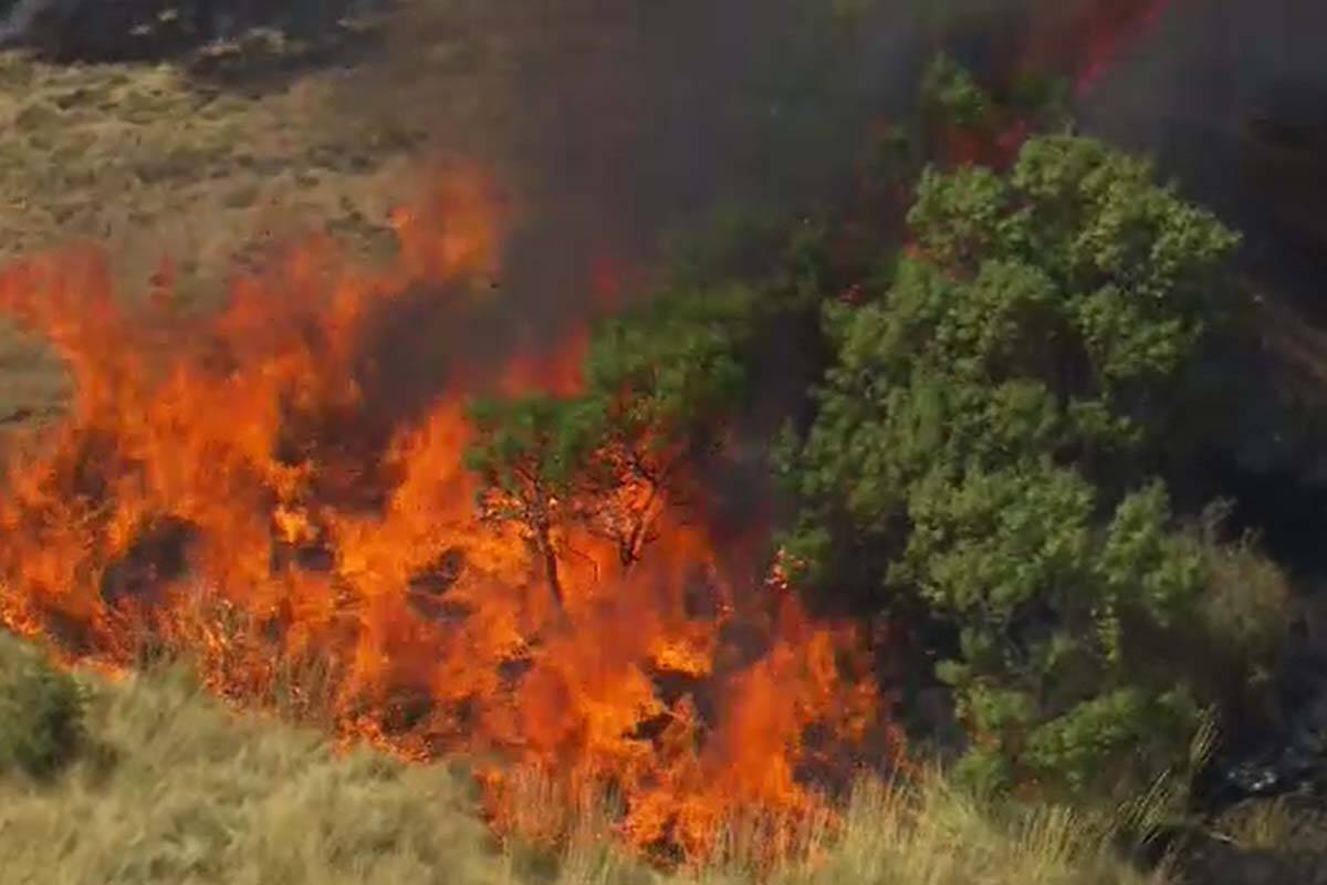 Article image for Grass fire breaks out in Melbourne’s north-west
