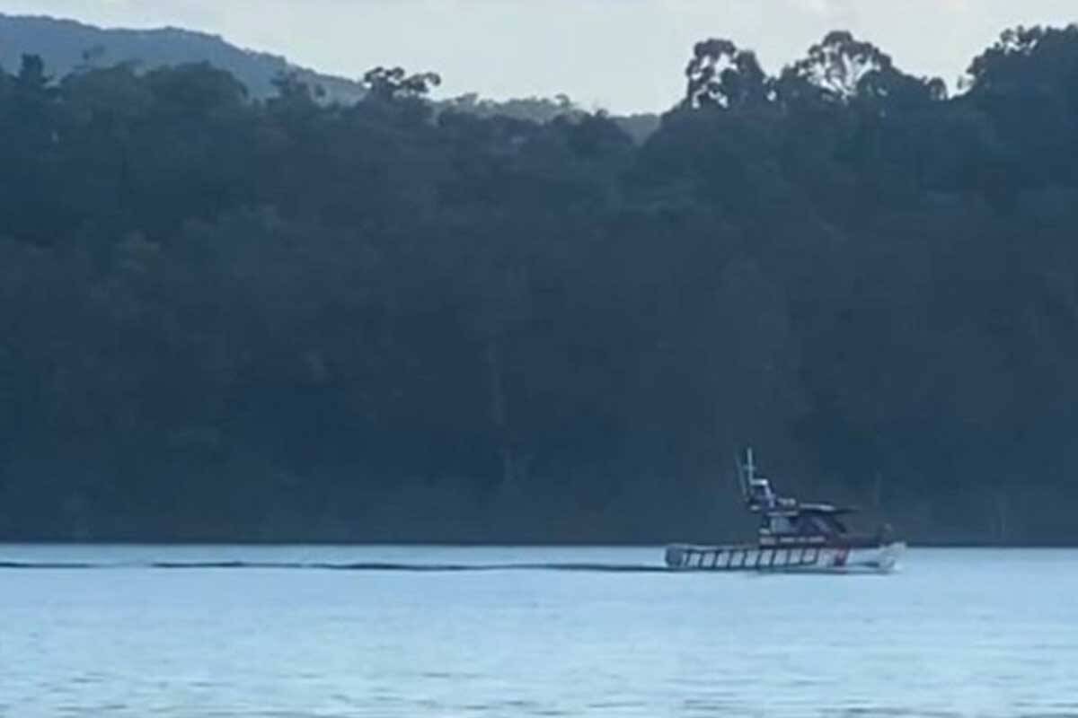Article image for Body found in search for missing swimmer at Lake Eildon