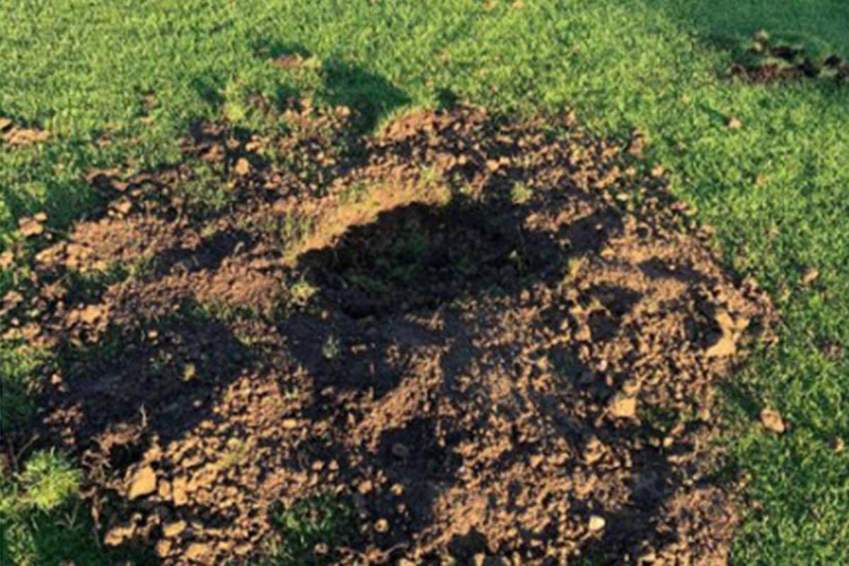 Article image for Rogue gold prospector vandalises regional Victorian oval