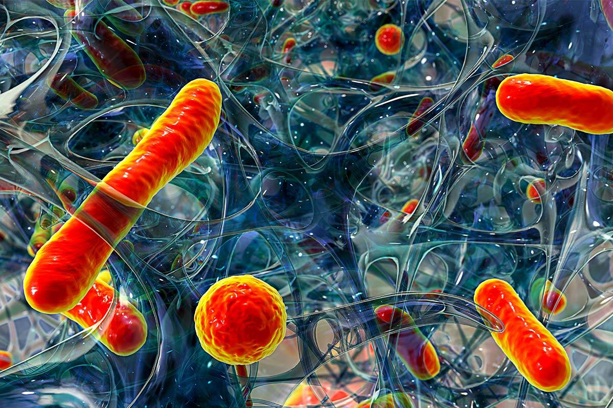 Article image for CSIRO warns ‘catastrophic’ global health crisis is looming