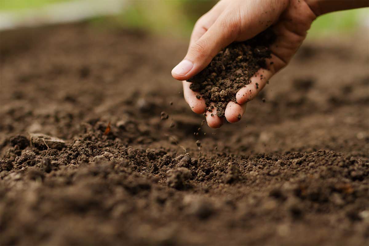 EPA launches free garden soil testing program