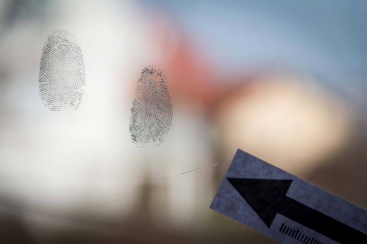 Article image for How crime scene fingerprint research uncovered a new way to detect breast cancer