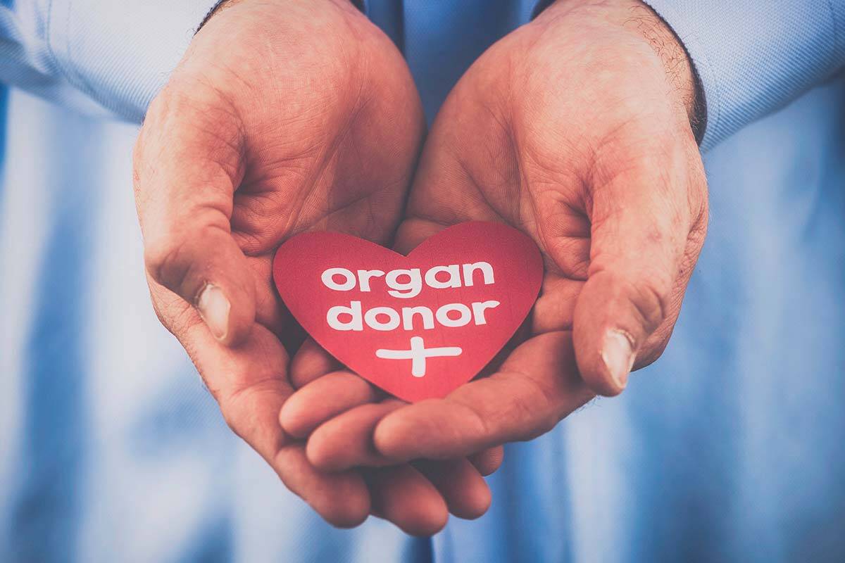 Article image for Organ donors urged to check they’re still registered due to ‘glitches’