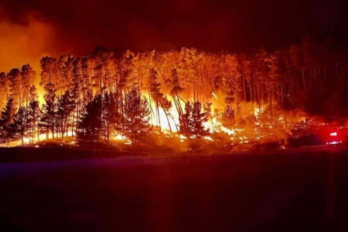 Article image for Firefighters race to contain Flowerdale blaze as ‘elevated risk’ looms