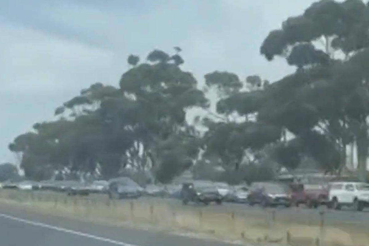 Article image for Avalon Airshow to refund tickets after ‘diabolical’ traffic chaos