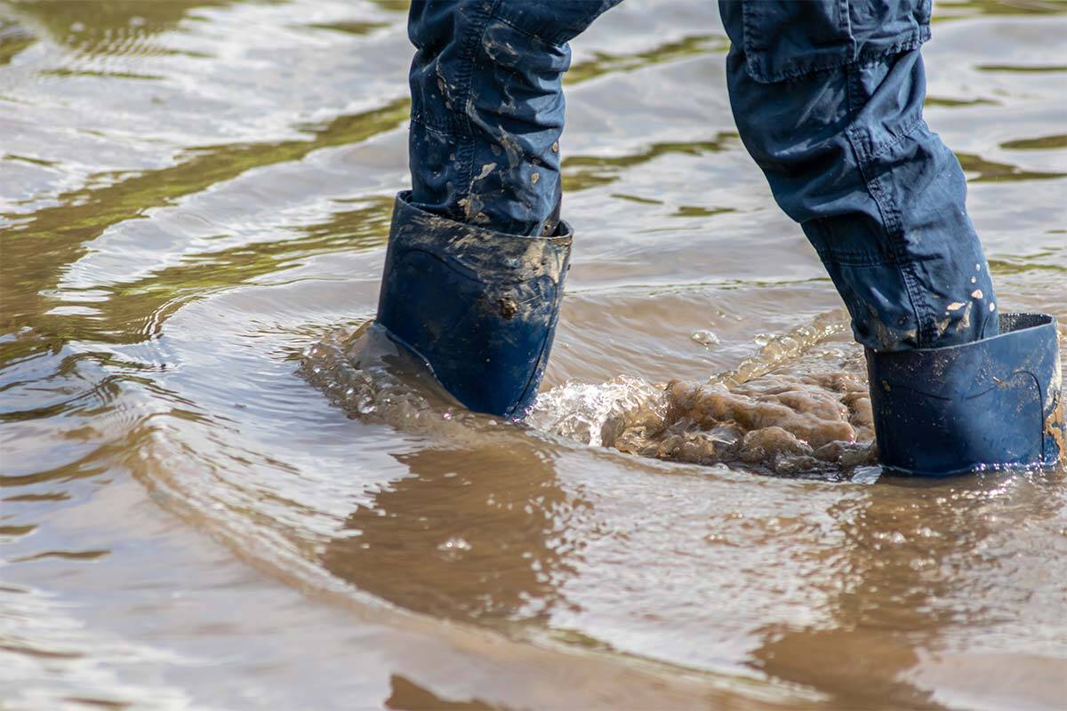 Article image for Emotional call reveals devastating ongoing toll of October floods