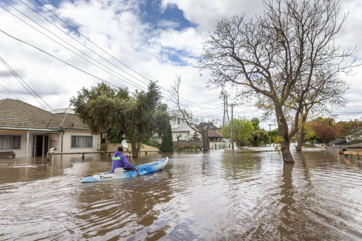 Article image for Greens MP’s plea towards the government to help flood affected businesses