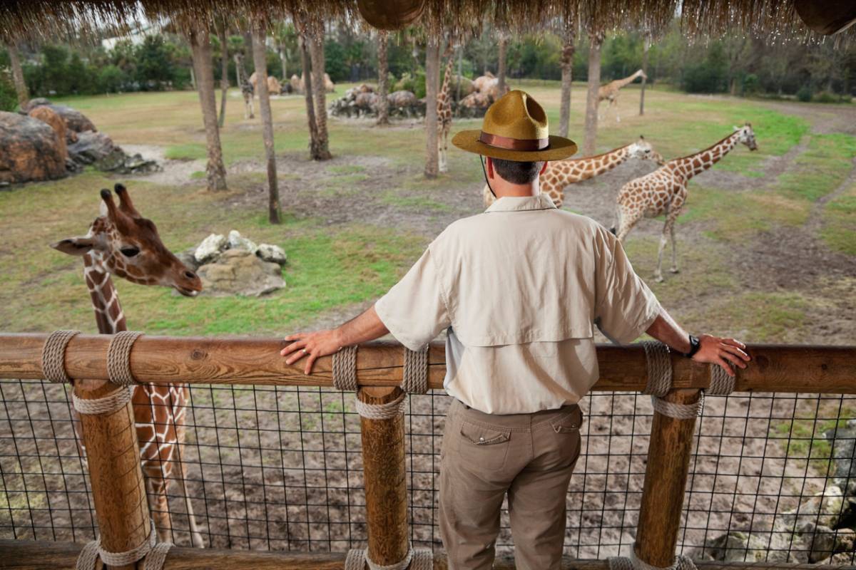 Article image for The zoo staff strike set to occur over the school holidays