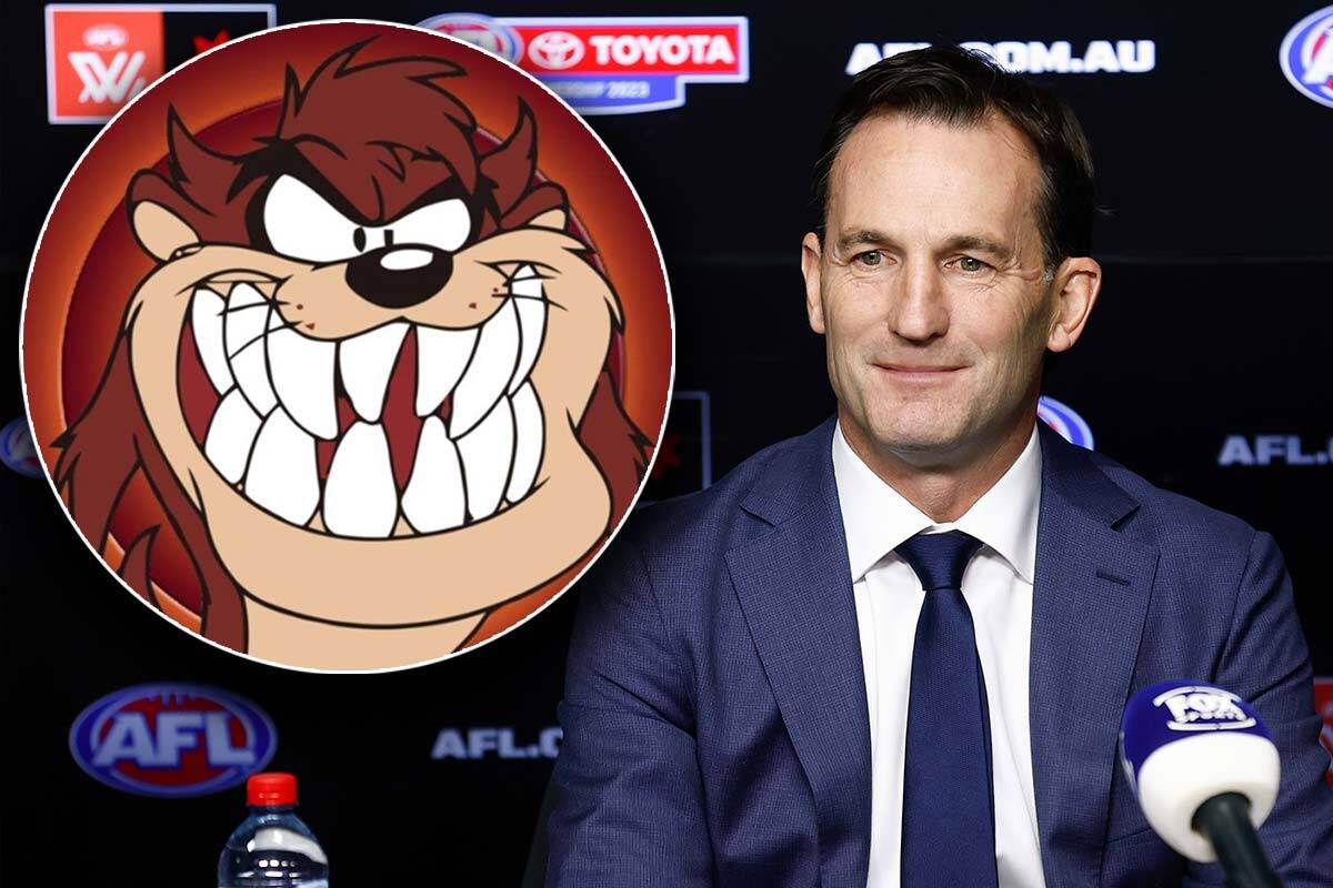 Article image for A lawyer’s view on the Tassie Devils trademark conundrum