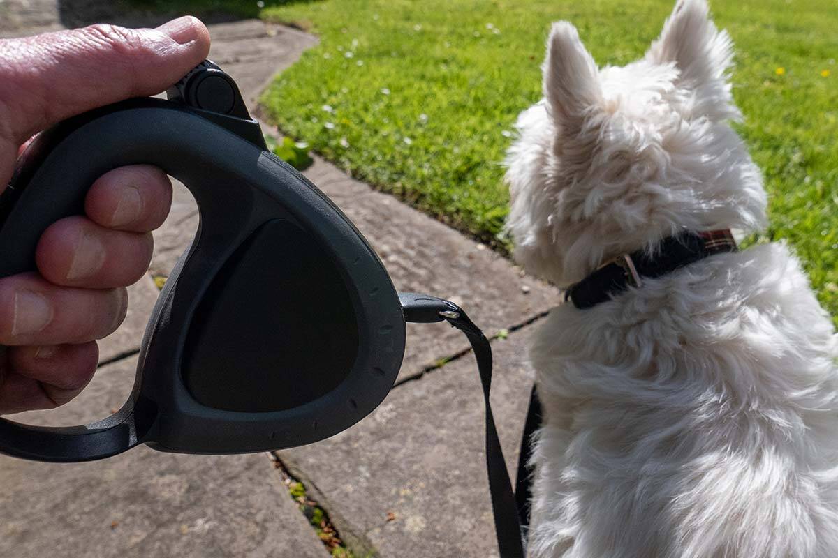 Article image for Dog owners warned against using retractable leashes