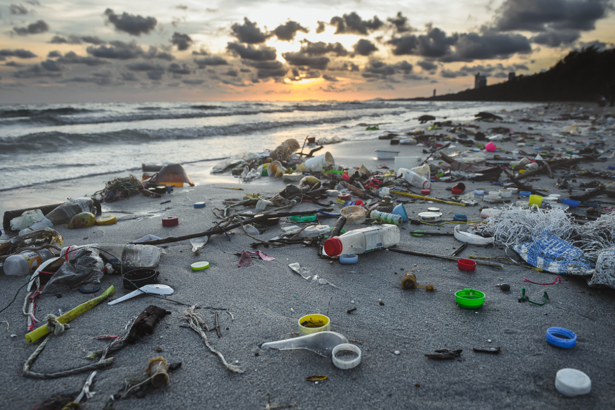 Article image for Why the federal government will export tens of thousands tonnes of plastic waste